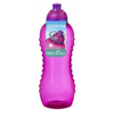 Imagen de la botella Squeeze 460 ml