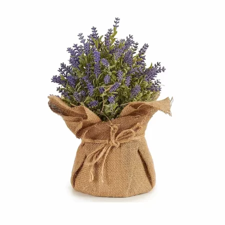 Imagen de la planta lavanda con maceta saco mediana